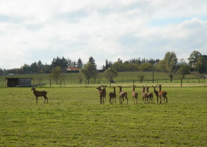 La Ferme Aux Biches