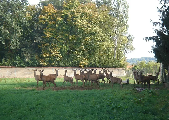 La Ferme Aux Biches