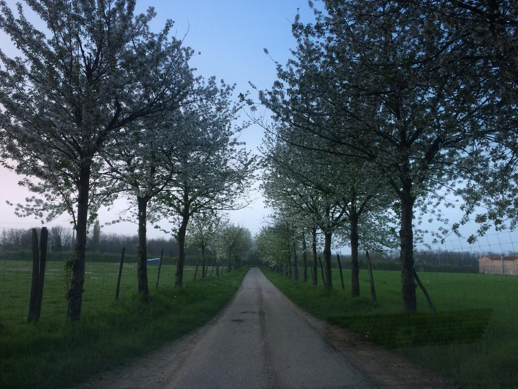La Ferme Aux Biches * Commelle-Vernay